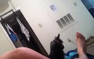 College blonde bj and honey titty fuck cumshoney