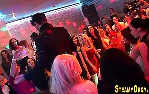 Orgy babes tugging cocks