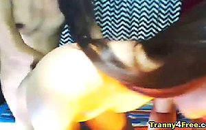 Asian Shemale Babe Suck And Hard Anal Fuck