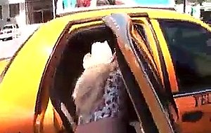 Sexy couple has honey sex in a cab