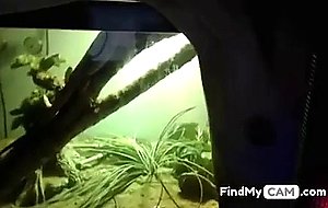 Pretty slim girl blows and fucks huge stick on liv