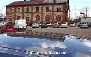 Couple sneaks in a quick fuck n suck in the car
