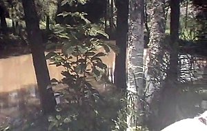 T-girl with big balloons in a sultry outdoor ramming