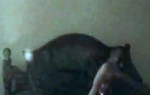 Josie sucks black dick