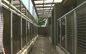 Humiliation and stories