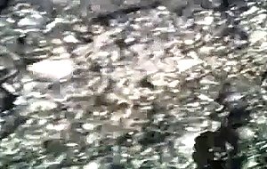 Bangladeshi peeping tom 13 