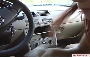 Hot bj in a car