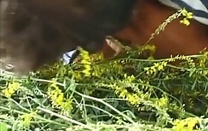 Couple enjoys sex in abandonned house 