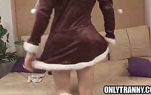 Busty brunette shemale babe tugging on her intense cock
