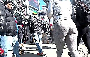 Asses from the north2018