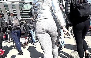 Asses from the north2018