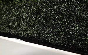 Sexy busty caucasian1080p