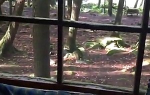 Girl with ponytails sucks cock deepthroat in woode 