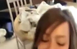 Home alone amateur sucks boyfriend dry