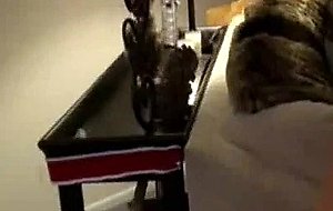 My honey ex loved to fuck