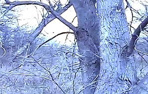Kayla and ben amateur couple pull over for a fuck in nature