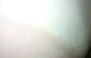 Jaguatirica selvagem 