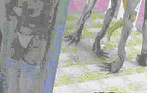 Disgusting Aliens Fucking 3D Girls