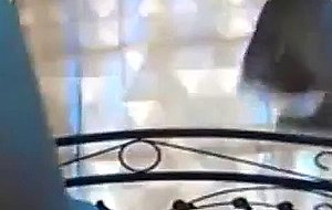 Cam girl toying her ass