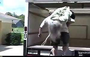 Moving day capture
