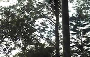 Small tits tranny gangbanged