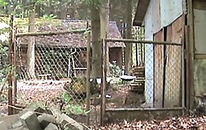 Student at his service