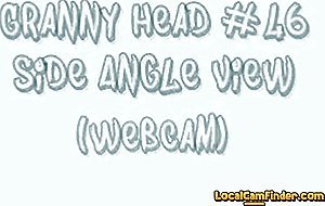 Granny Head #46 Side Angle View (Webcam)