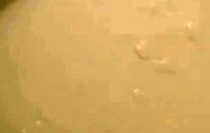 Closeup masturbation hand fucking cumshot load jizz