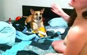 Amateur - Hot Couple CIM on Webcam