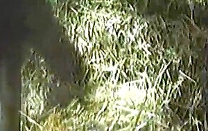 Masturbation madness