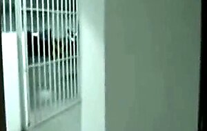 Public Handjob in a Restroom by Bigcockflasher