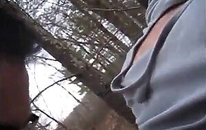 Amateur Bears in the Woods
