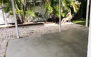 Step mom helps step son to cum quick in her panties and pull them up milf