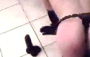 Amateur ts sucker in stockings