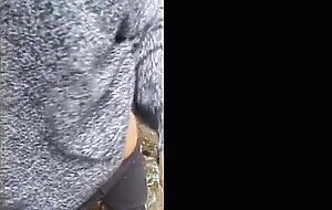 (amateur public) hot brunette sucking dick outdoor