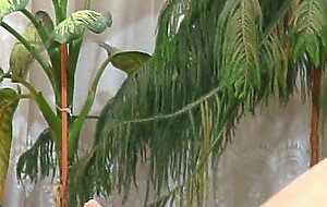 Juliareaves-salsa - private linie 11 - scene 1