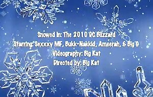 Snowed in -the 2010 dc blizzard